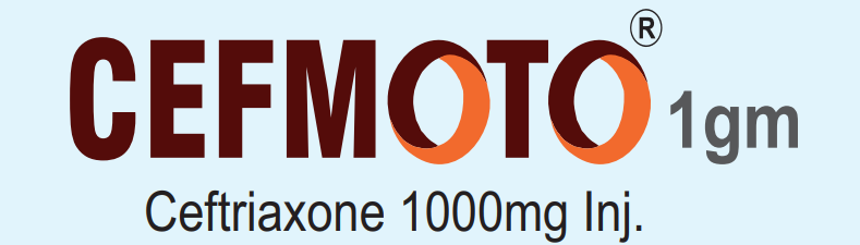 cefmoto1
