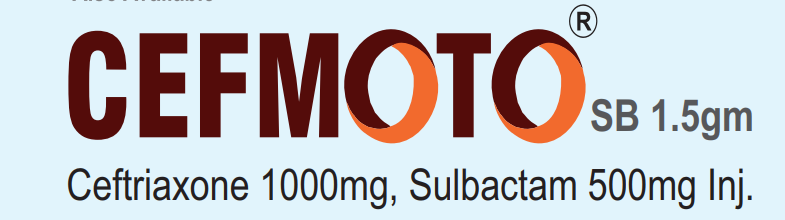 cefmoto2
